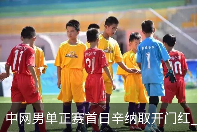 中网男单正赛首日辛纳取开门红 马纳里诺赢300胜
