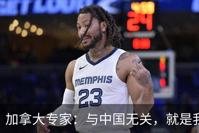 加拿大专家：与中国无关，就是我们干的