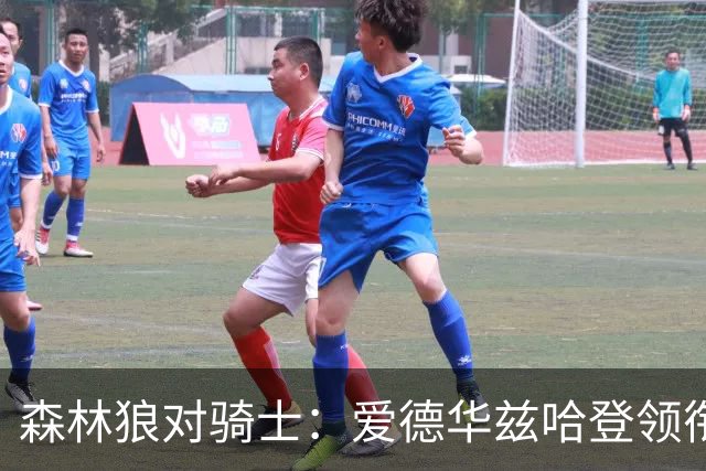 森林狼对骑士：爱德华兹哈登领衔，两队伤情成看点