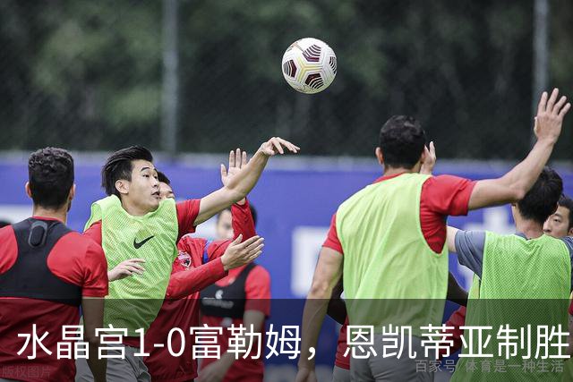 水晶宫1-0富勒姆，恩凯蒂亚制胜