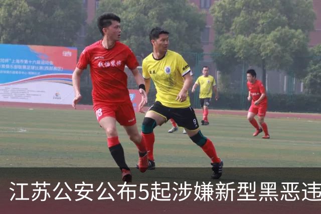 江苏公安公布5起涉嫌新型黑恶违法犯罪典型案例