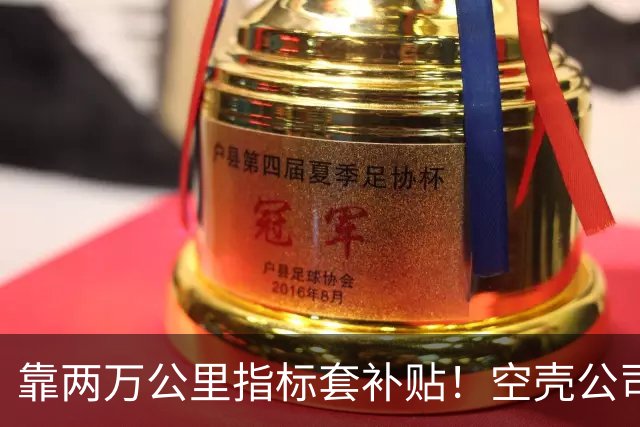 靠两万公里指标套补贴！空壳公司卷走三个亿，全甩给底层买单