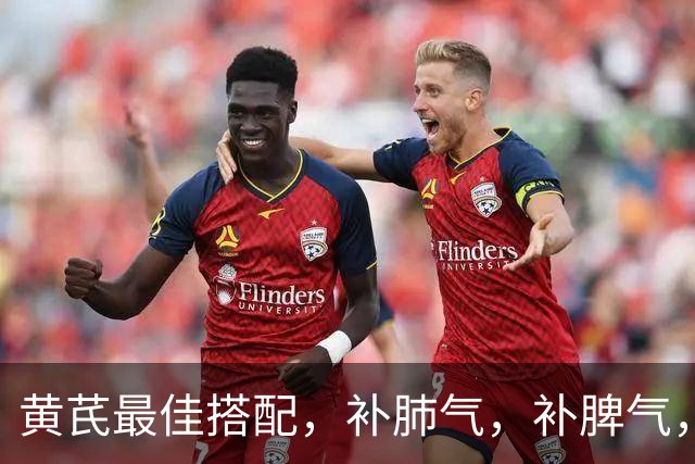 黄芪最佳搭配，补肺气，补脾气，补肾气，关键还不上火