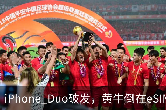 iPhone Duo破发，黄牛倒在eSIM